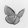 https://upforme.ru/uploads/001a/f4/24/40/239426.png