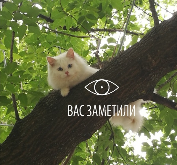 https://upforme.ru/uploads/001a/f4/24/40/430617.jpg