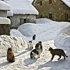 https://upforme.ru/uploads/001a/f4/24/40/458245.jpg