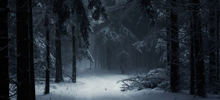 https://upforme.ru/uploads/001a/f4/24/584/291858.png