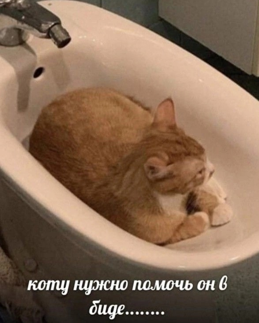 https://upforme.ru/uploads/001a/f4/24/584/339201.png