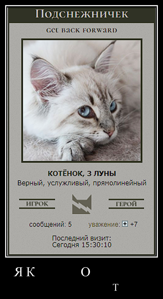 https://upforme.ru/uploads/001a/f4/24/584/445271.png