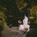 https://upforme.ru/uploads/001a/f4/24/584/82468.png