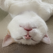 https://upforme.ru/uploads/001a/f4/24/584/t137703.png