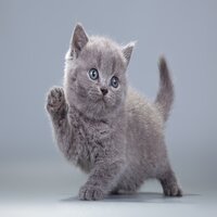https://upforme.ru/uploads/001a/f4/24/591/166770.jpg