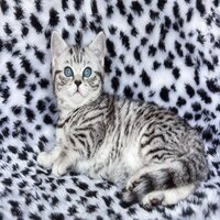 https://upforme.ru/uploads/001a/f4/24/591/352679.jpg