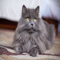 https://upforme.ru/uploads/001a/f4/24/591/915392.jpg