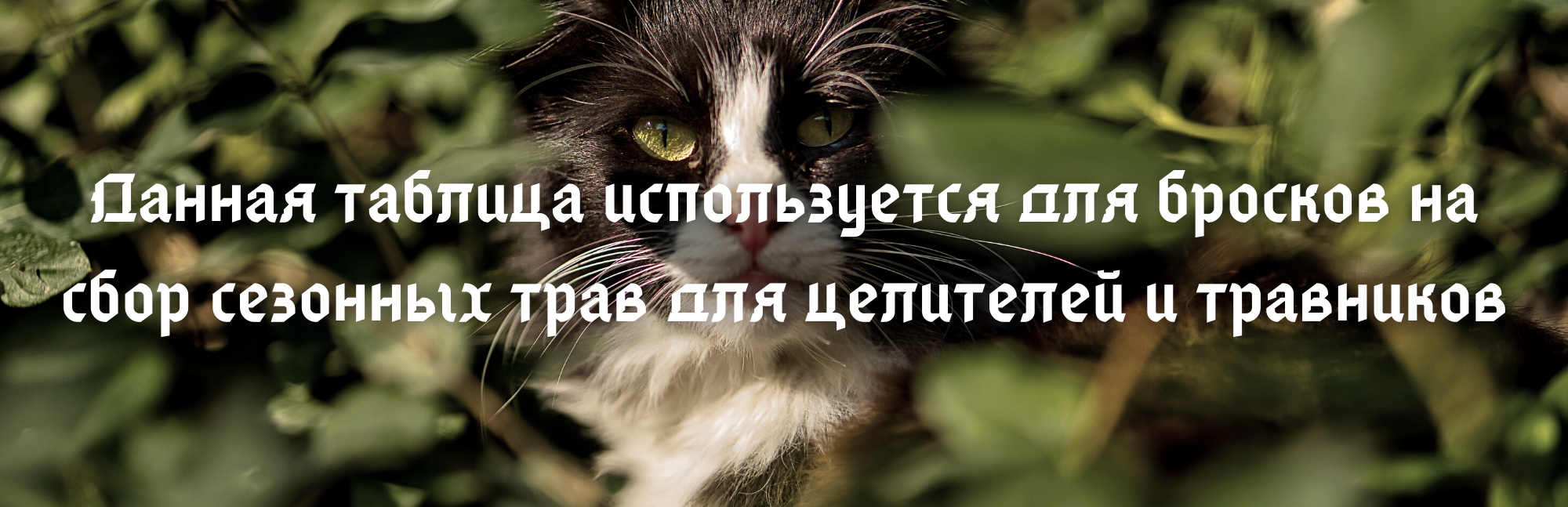 https://upforme.ru/uploads/001a/f4/24/6/363096.png