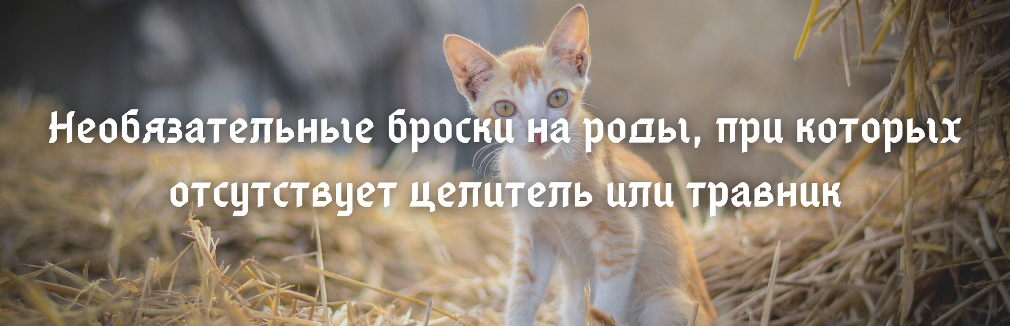 https://upforme.ru/uploads/001a/f4/24/6/675265.png