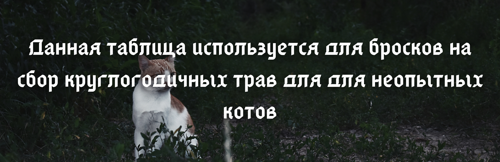 https://upforme.ru/uploads/001a/f4/24/6/723186.png
