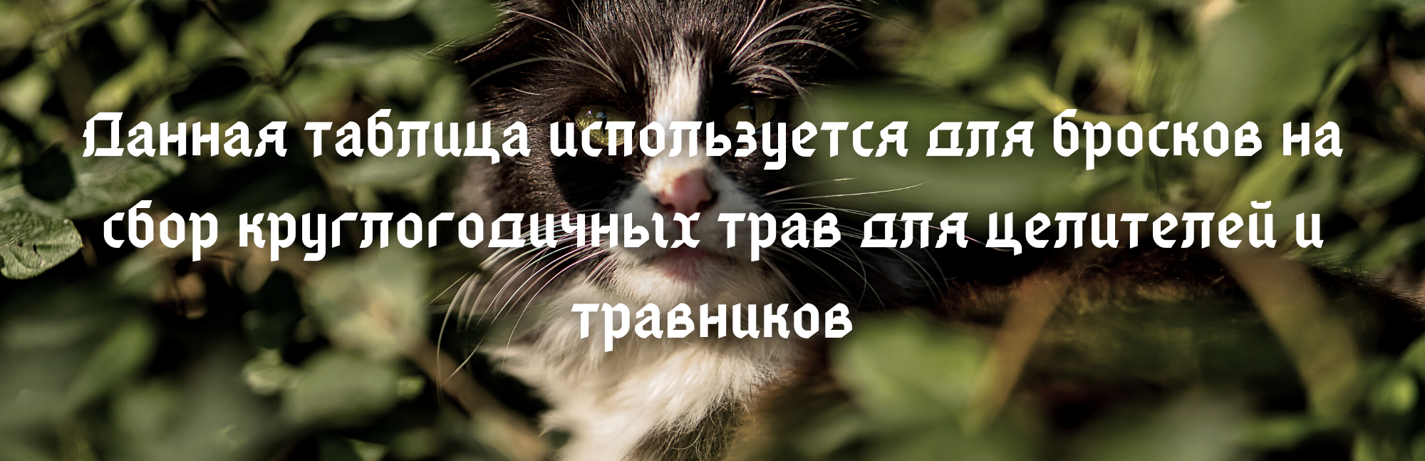 https://upforme.ru/uploads/001a/f4/24/6/910396.png