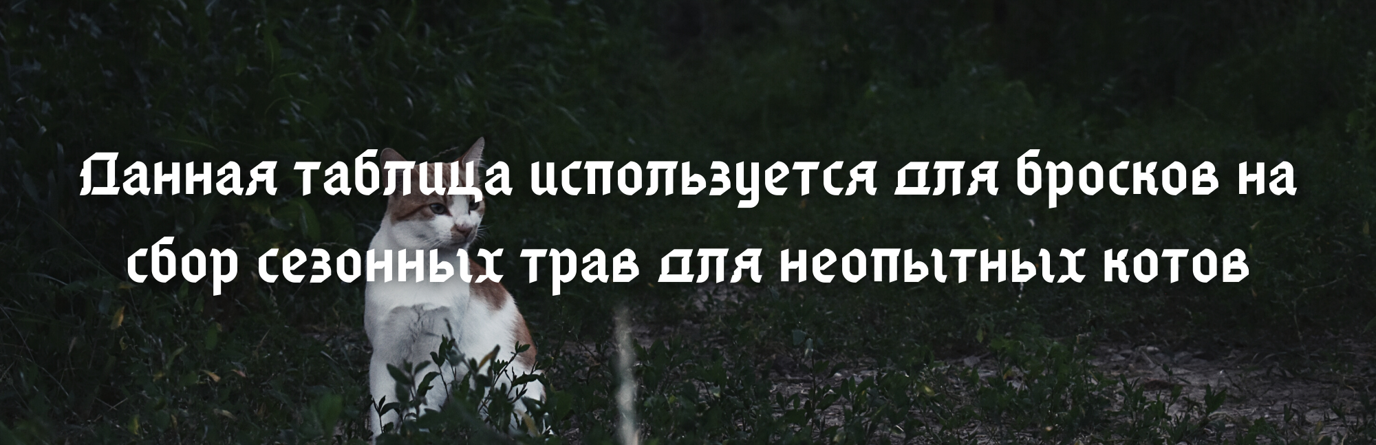 https://upforme.ru/uploads/001a/f4/24/6/965379.png