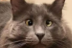 https://upforme.ru/uploads/001a/f4/24/616/161372.png