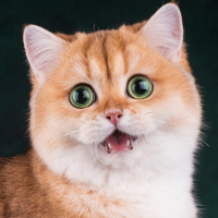 https://upforme.ru/uploads/001a/f4/24/616/538741.png
