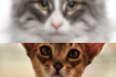 https://upforme.ru/uploads/001a/f4/24/616/632818.png