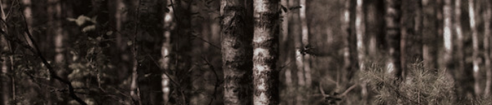 https://upforme.ru/uploads/001a/f4/24/616/713546.png
