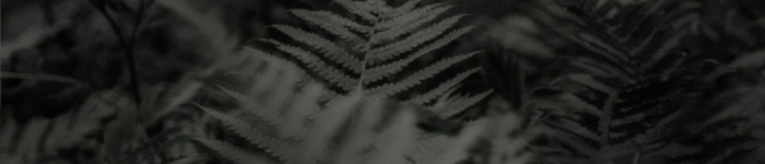 https://upforme.ru/uploads/001a/f4/24/616/834218.png