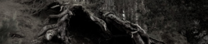 https://upforme.ru/uploads/001a/f4/24/616/946172.png