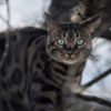 https://upforme.ru/uploads/001a/f4/24/622/668793.png