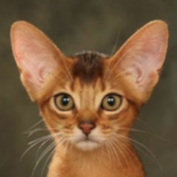 https://upforme.ru/uploads/001a/f4/24/648/735391.png