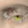 https://upforme.ru/uploads/001a/f4/24/674/377762.png