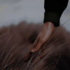 https://upforme.ru/uploads/001a/f4/24/694/526825.png