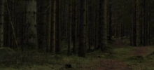 https://upforme.ru/uploads/001a/f4/24/694/659117.png