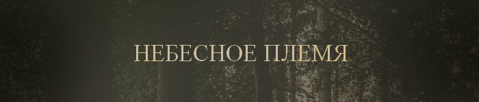 https://upforme.ru/uploads/001a/f4/24/694/928481.png