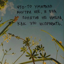 https://upforme.ru/uploads/001a/f4/24/783/608123.png