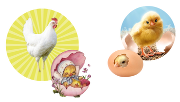 https://upforme.ru/uploads/001a/f4/24/784/t105756.png