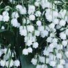https://upforme.ru/uploads/001a/f4/24/899/991250.png
