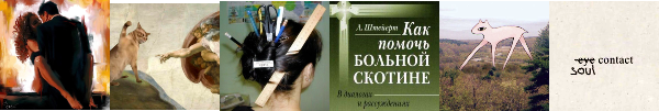 https://upforme.ru/uploads/001a/f4/24/940/110493.png