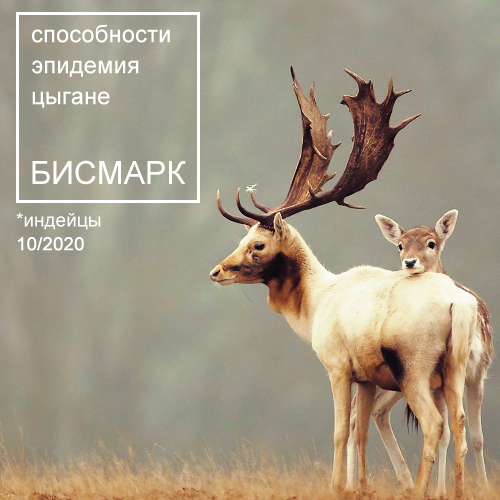 https://upforme.ru/uploads/001a/f4/de/2/256503.png