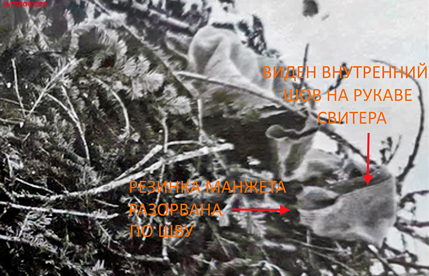 https://upforme.ru/uploads/001a/f5/a1/2/848214.jpg