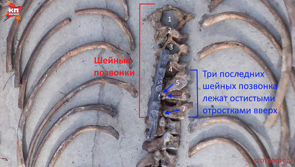 https://upforme.ru/uploads/001a/f5/a1/2/t633294.jpg