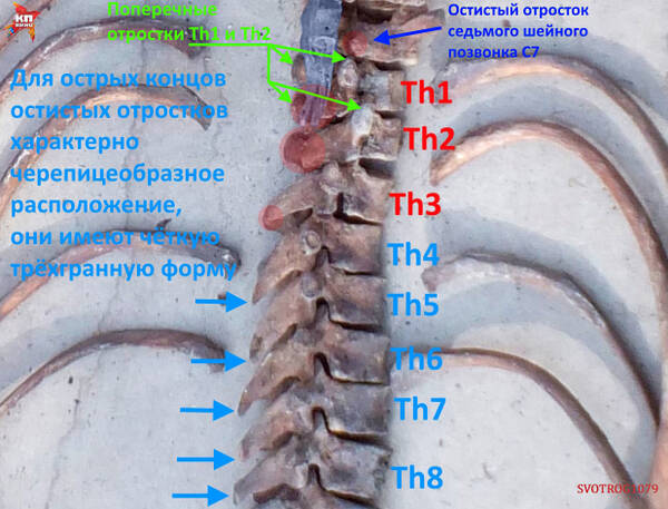https://upforme.ru/uploads/001a/f5/a1/2/t838039.jpg