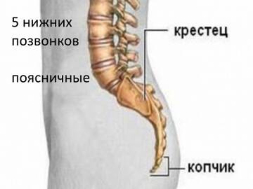 https://upforme.ru/uploads/001a/f5/a1/3/t932930.jpg