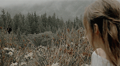 https://upforme.ru/uploads/001a/f6/27/26/107946.gif