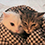 https://upforme.ru/uploads/001a/f6/b2/2/178835.png