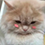 https://upforme.ru/uploads/001a/f6/b2/2/280697.png