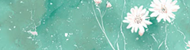 https://upforme.ru/uploads/001a/f6/b2/2/537875.png