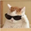 https://upforme.ru/uploads/001a/f6/b2/2/612437.png