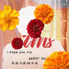https://upforme.ru/uploads/001a/f6/b2/2/710443.png