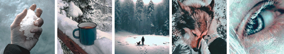 https://upforme.ru/uploads/001a/fa/19/2/341635.png