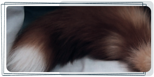 https://upforme.ru/uploads/001a/fa/19/2/349330.png