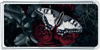https://upforme.ru/uploads/001a/fa/19/2/689979.png