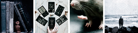 https://upforme.ru/uploads/001a/fa/19/2/983708.png