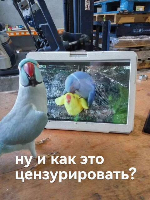 https://upforme.ru/uploads/001a/fa/19/2/t14446.jpg