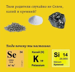 https://upforme.ru/uploads/001a/fa/66/8/943545.jpg