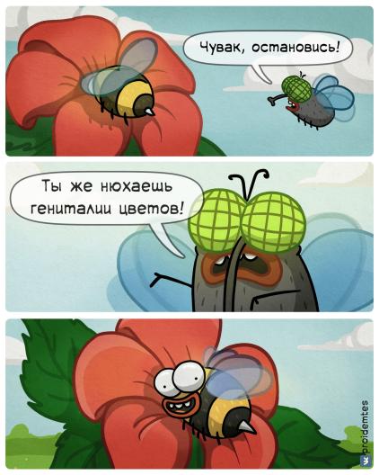 https://upforme.ru/uploads/001a/fb/17/169/405994.jpg